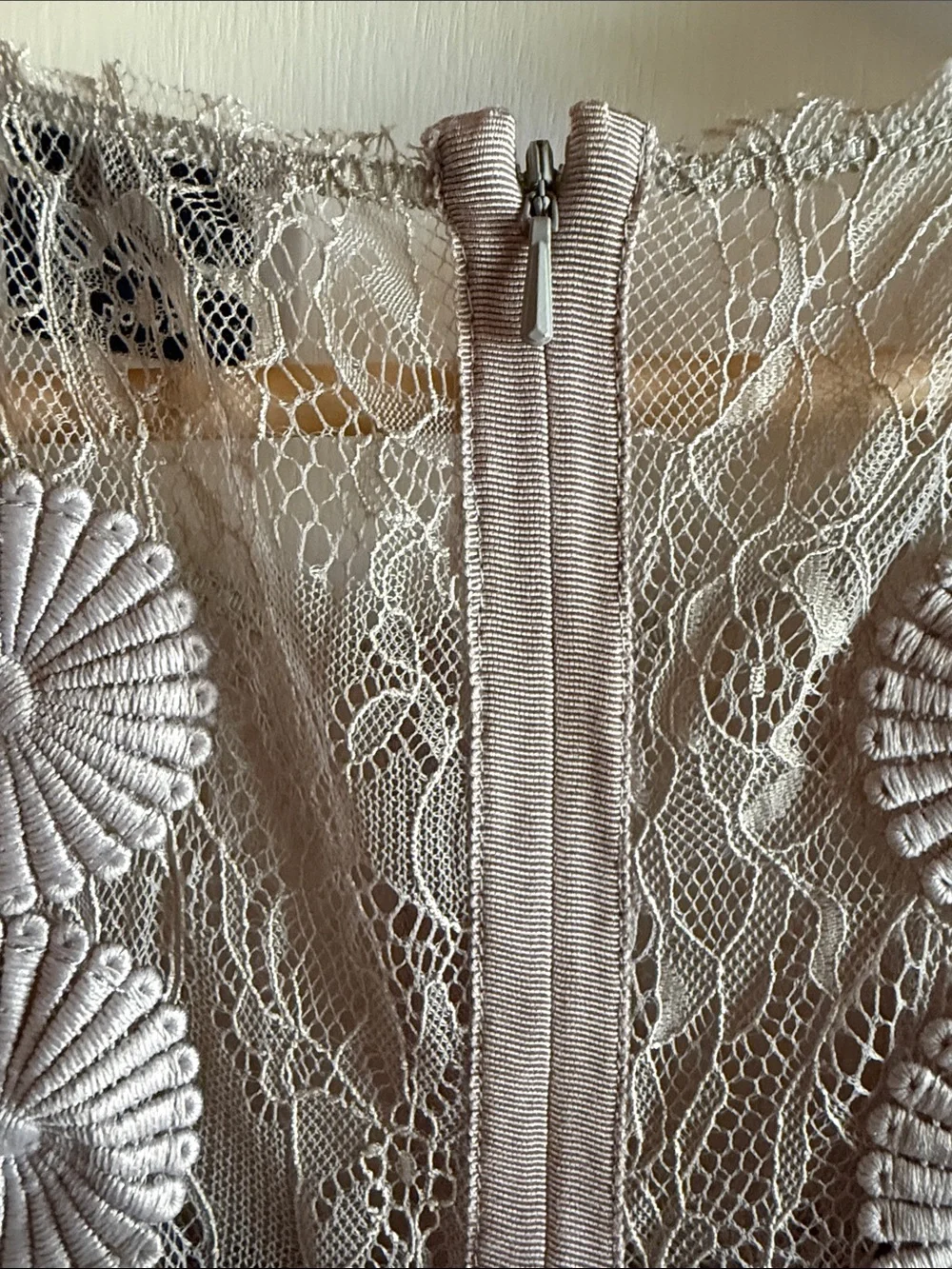 BYRON LARS Taupe Lace Midi Dress with Floral Appliqué - Picture 6 of 6